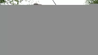 معلم داغ صحنه سکسی هندی
